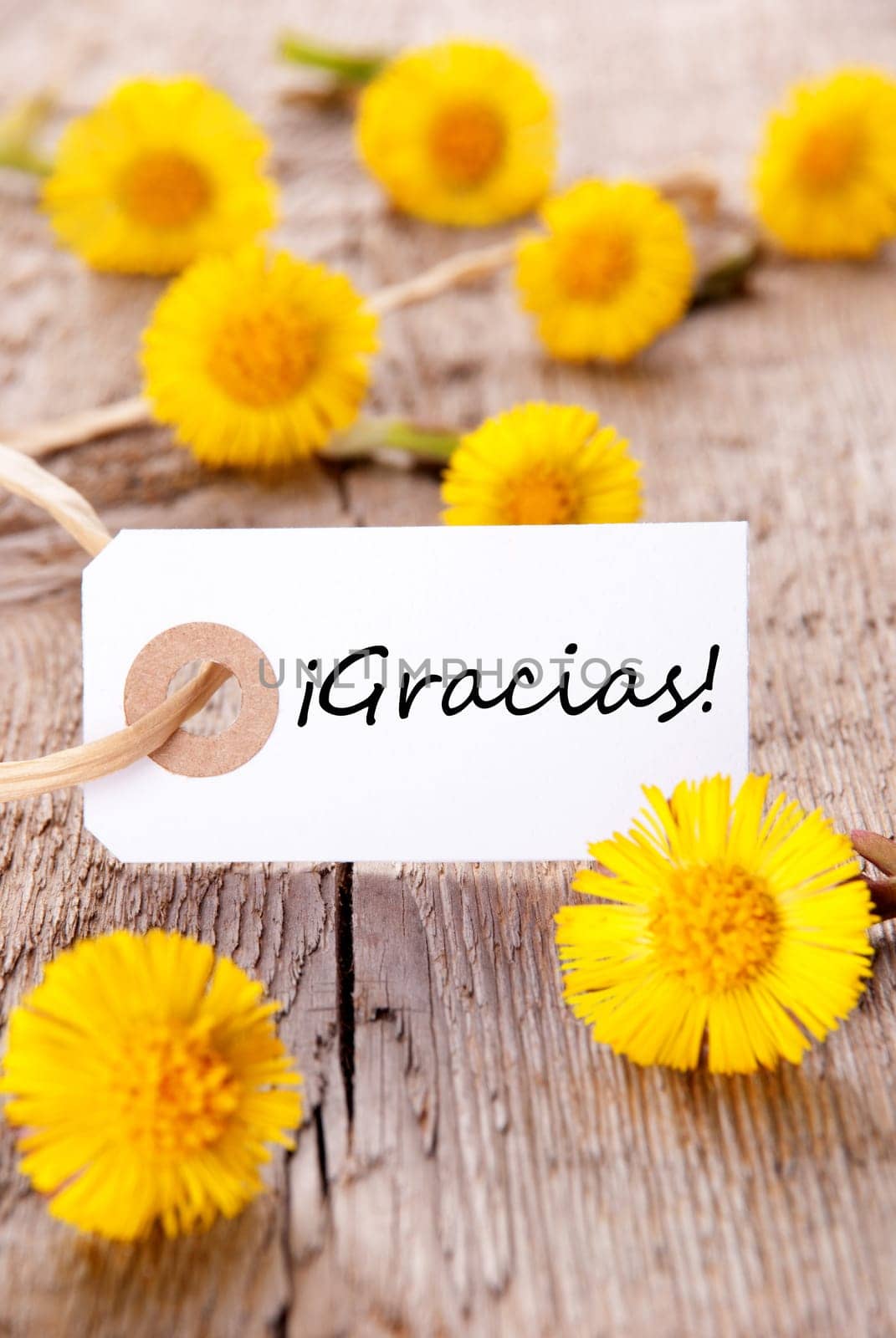 Yellow Flowers with a Tag with the Spanish Word Gracias on it which means Thanks