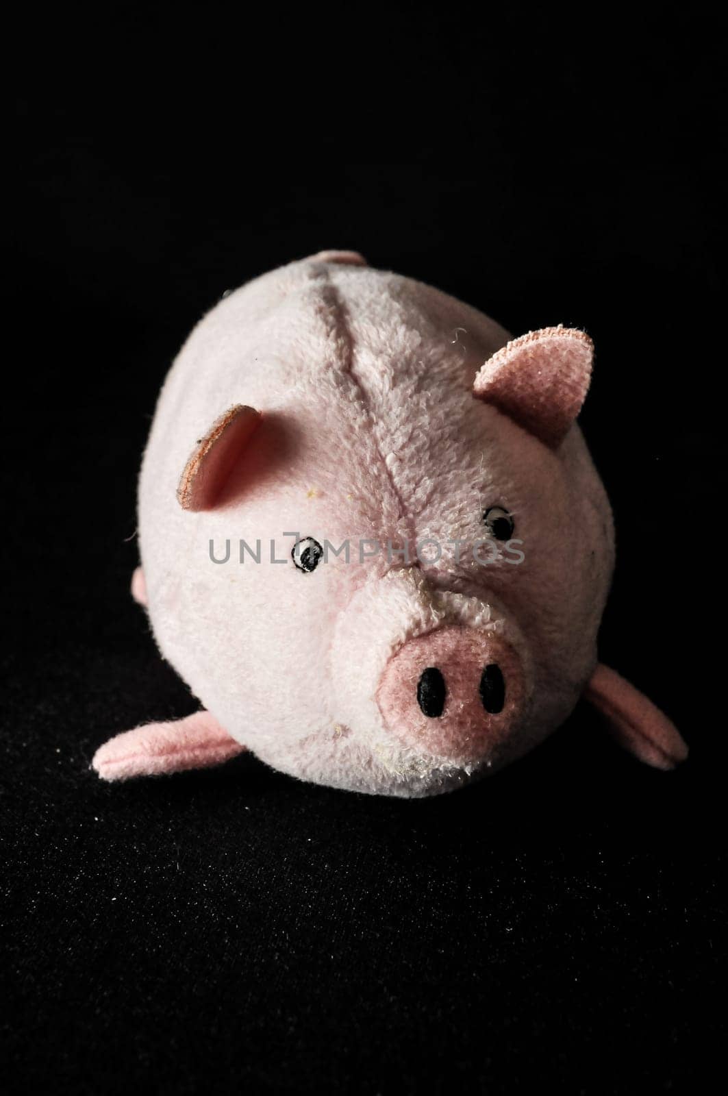 Cute pink pig animal character on a Black Background
