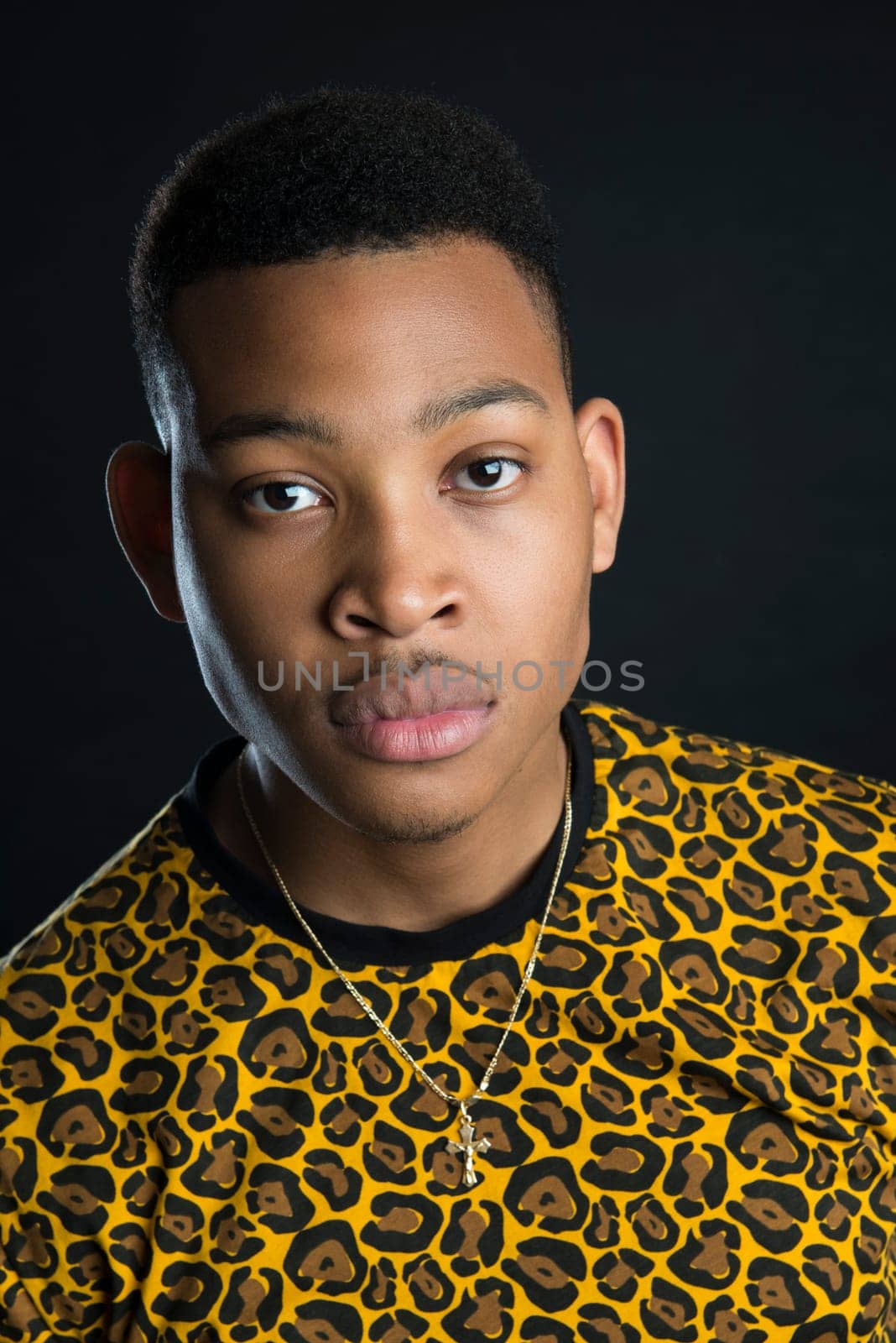 Portrait of handsome dark skinned male model wearing panther pattern t-shirt against black background