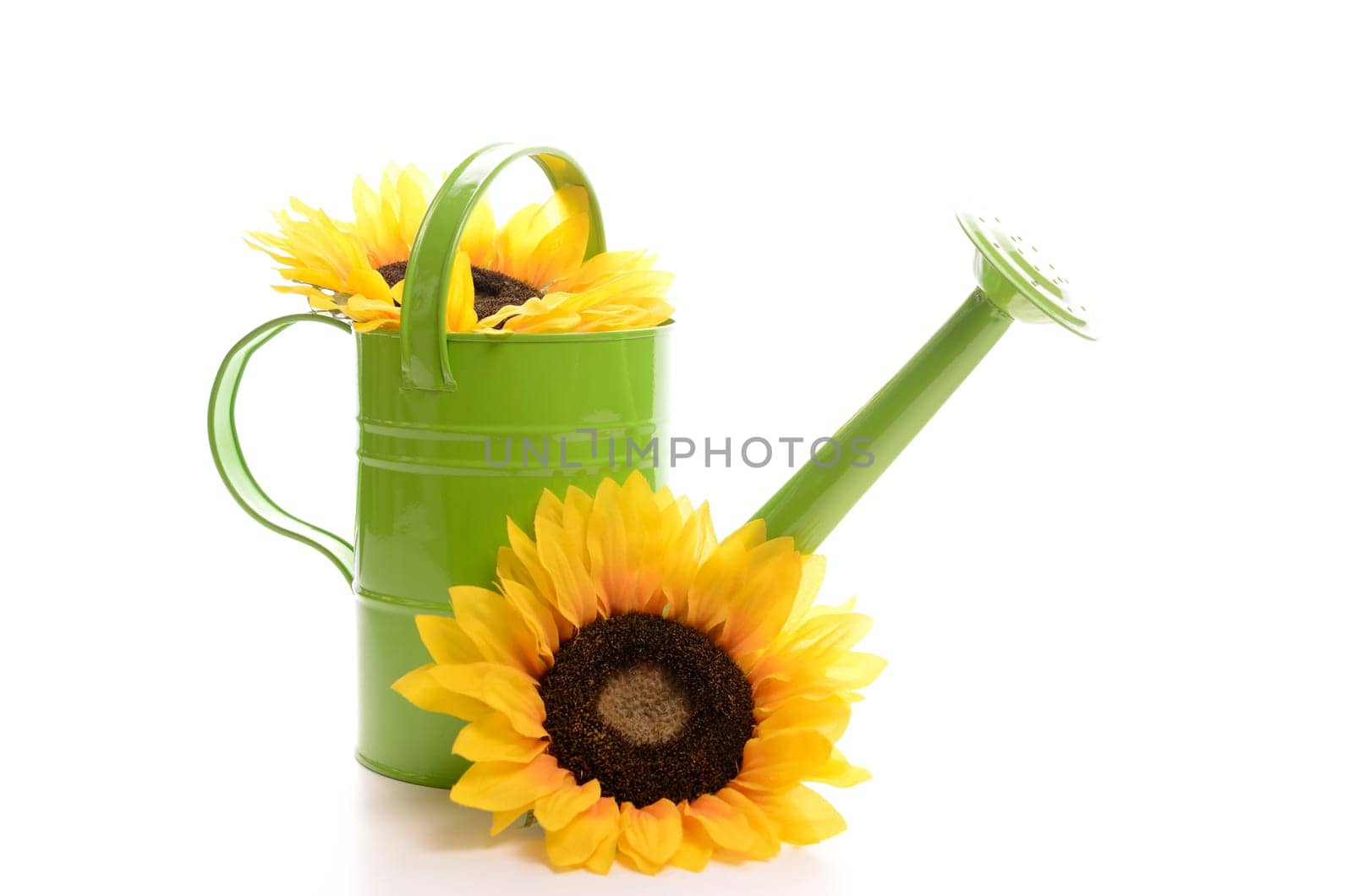 Green watering can with sunflowers