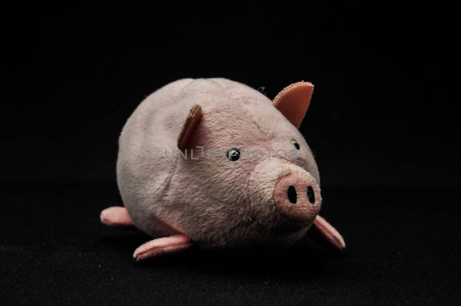 Cute pink pig animal character on a Black Background