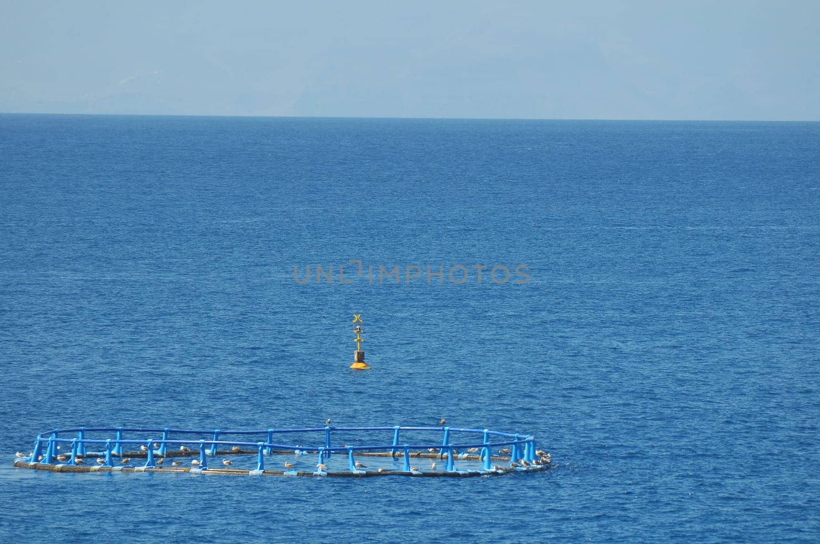 Fish Farm in the Atlantic Ocean on a Blue Day