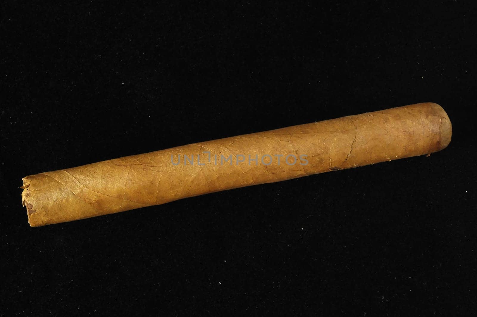 Cuban Brown Havan Cigar on a black background