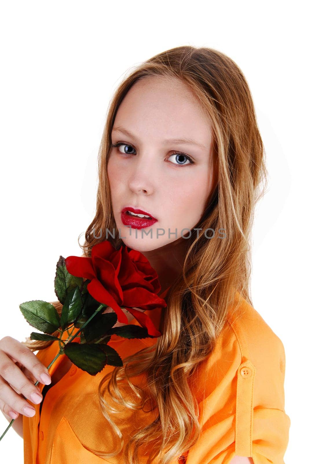 A young pretty teenager with long blond hair holding a red rose, in a .yellow blouse, isolated on white background..