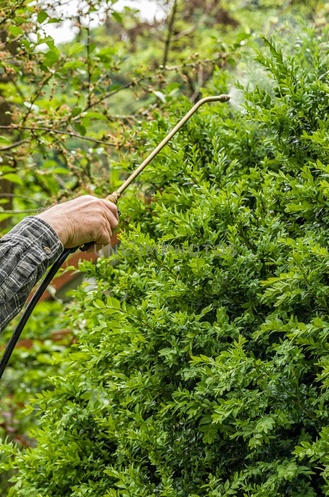 Pest control with insecticides