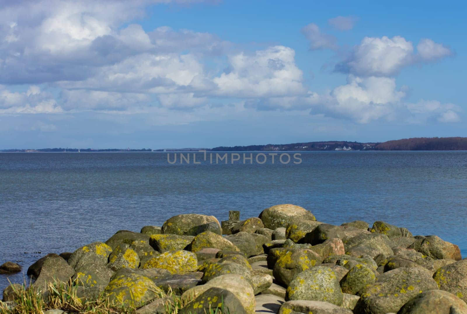 The fjord seen from Wassersleben (Flensburg)