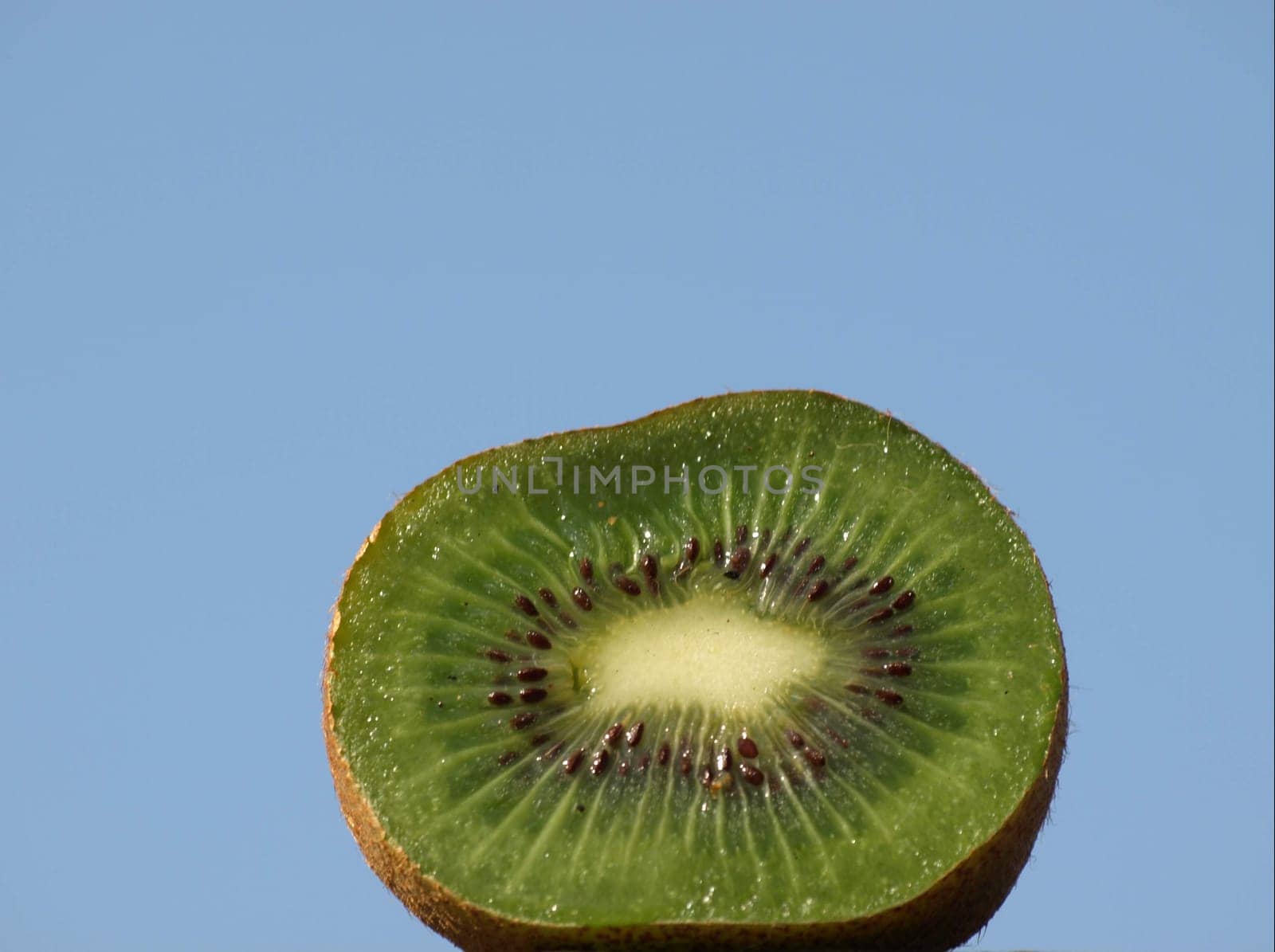Kiwi