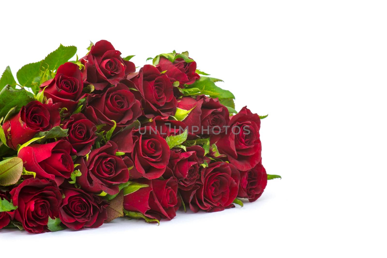 red roses