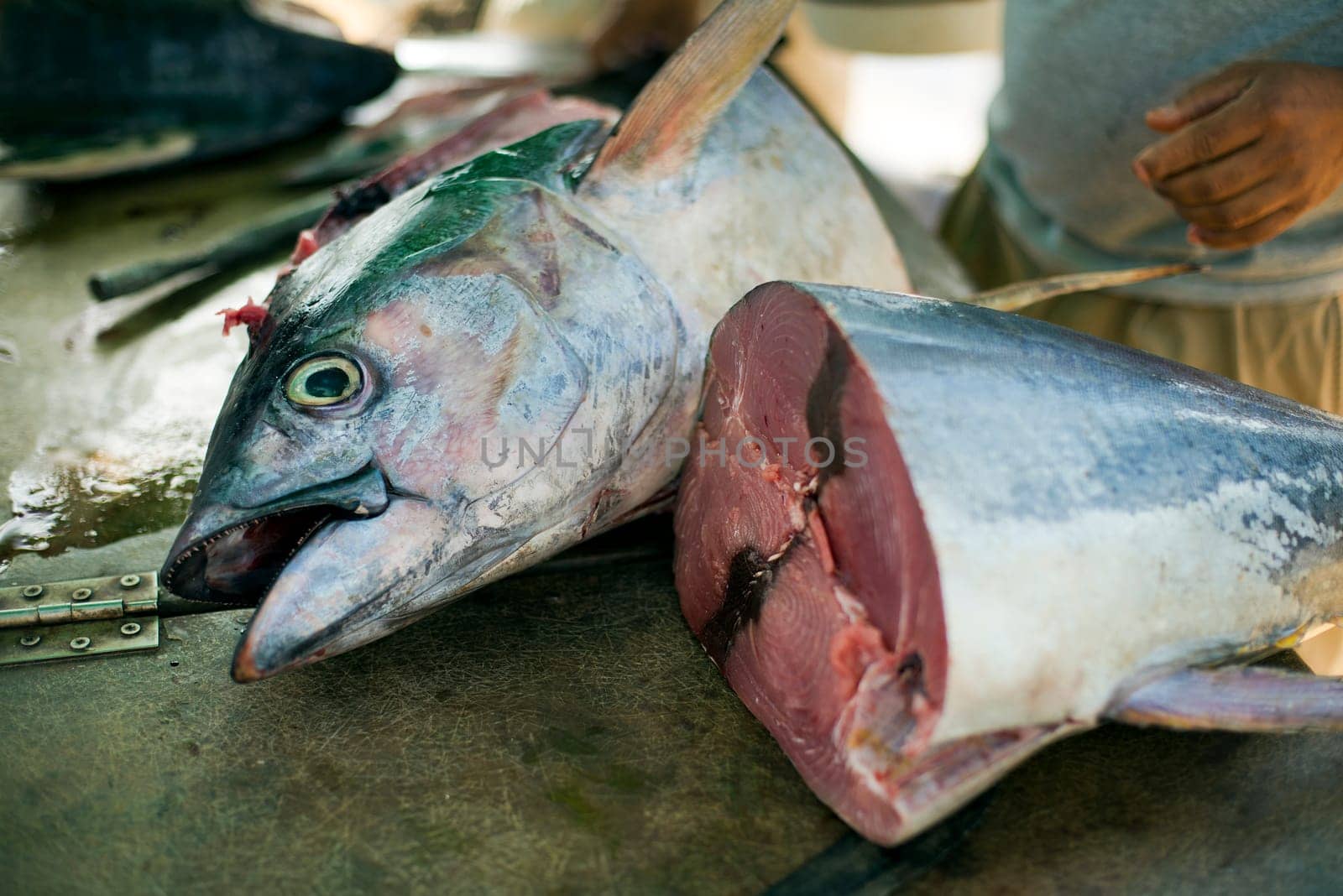Man cutting big tuna fish close up shoot