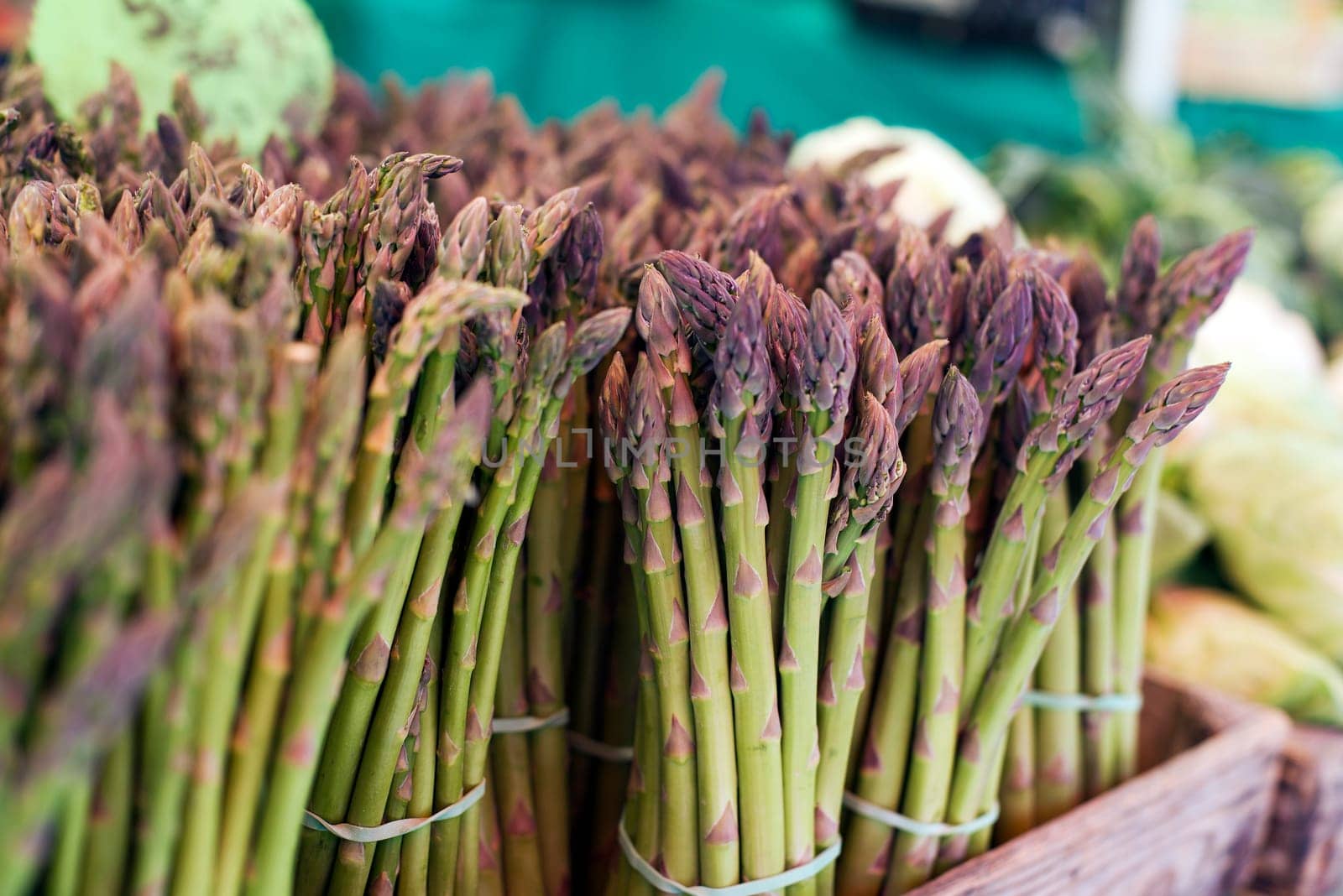 Freshly picked asparagus tips on a market stall