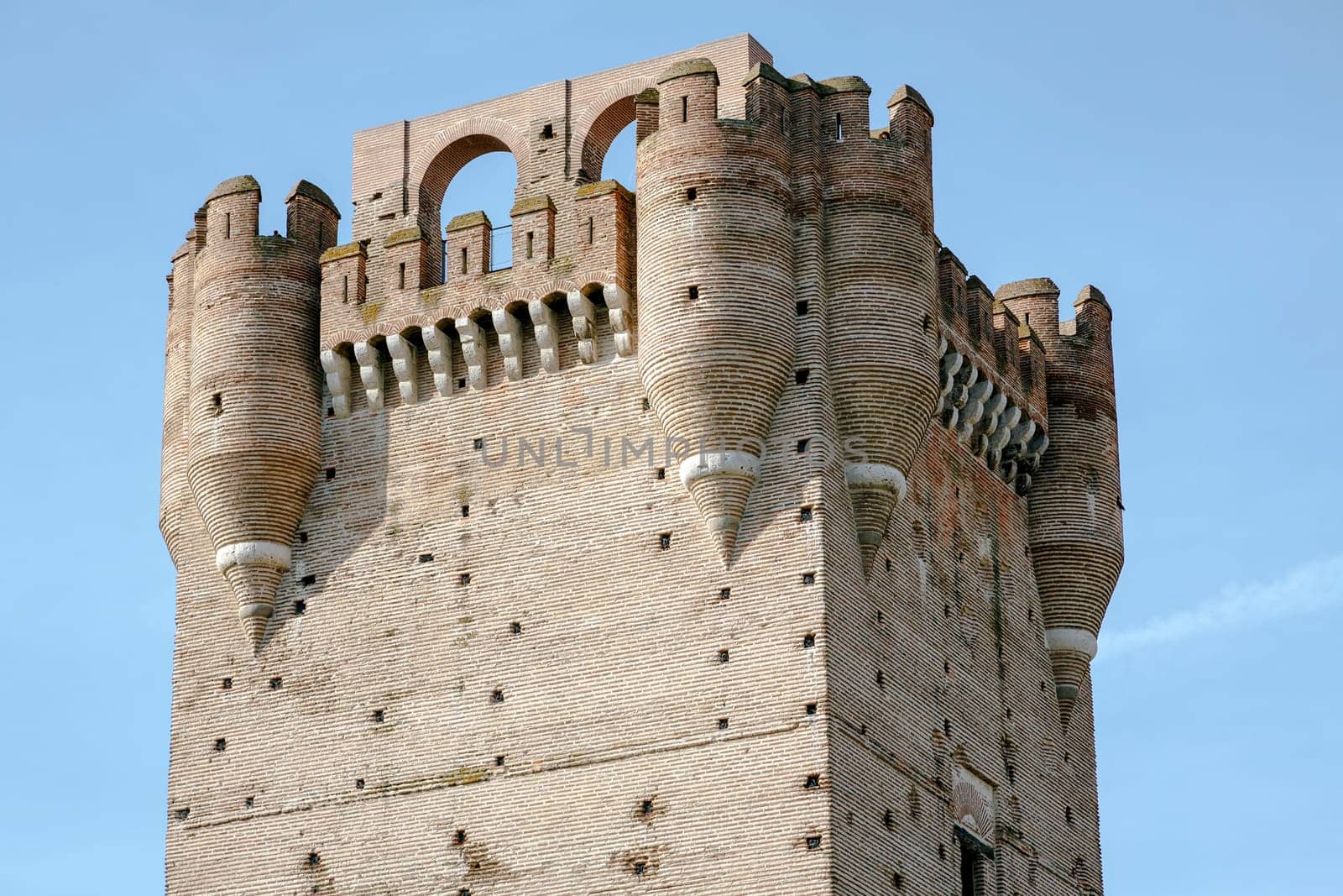 Famous Castle of La Mota (Castillo de la Mota) in the morning - one of the best preserved and most beautiful medieval fortresses of Spain.