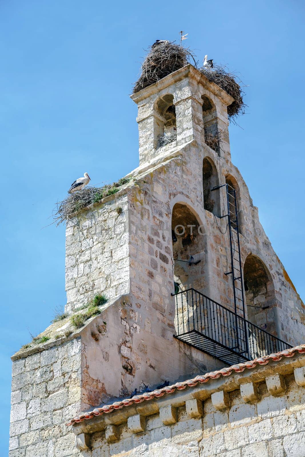 Parish Church of El Salvador in Monzon de Campos in Palencia, Spain, belfry with storks detail