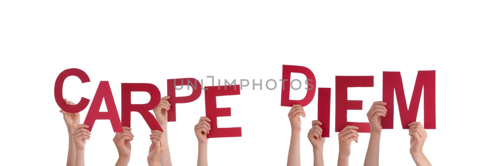 Many Hands Holding the Latin Words Carpe Diem, Isolated