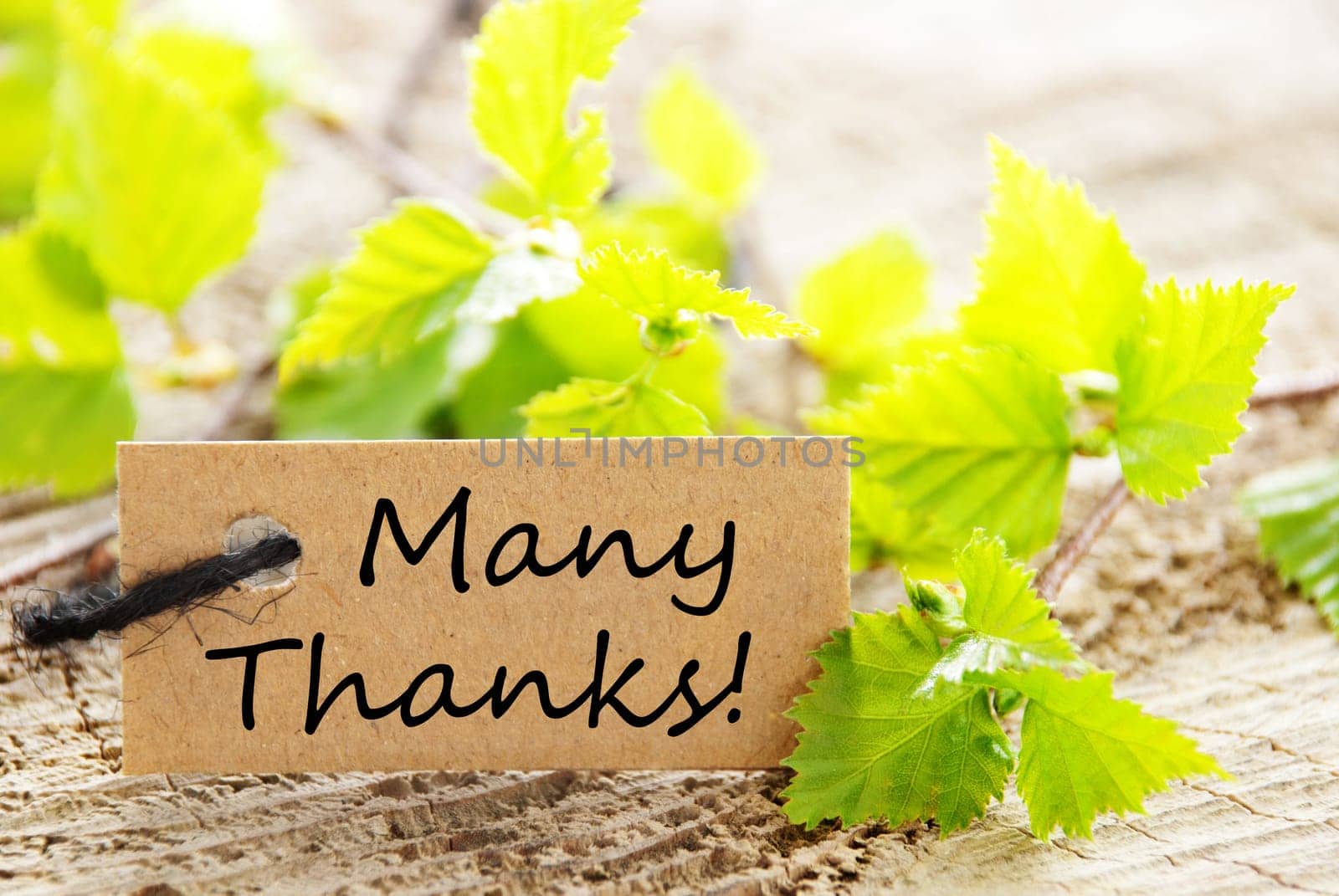 a natural looking label with green leaves and wood as background