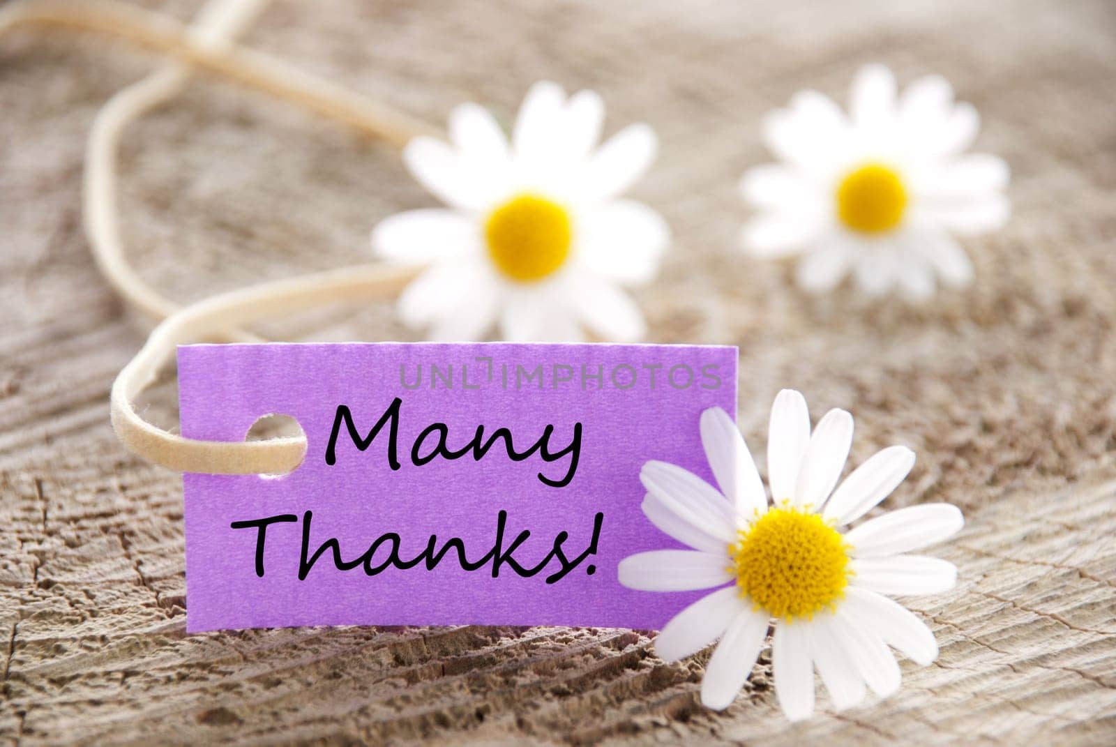 a purple label with white blossoms, copy space and background