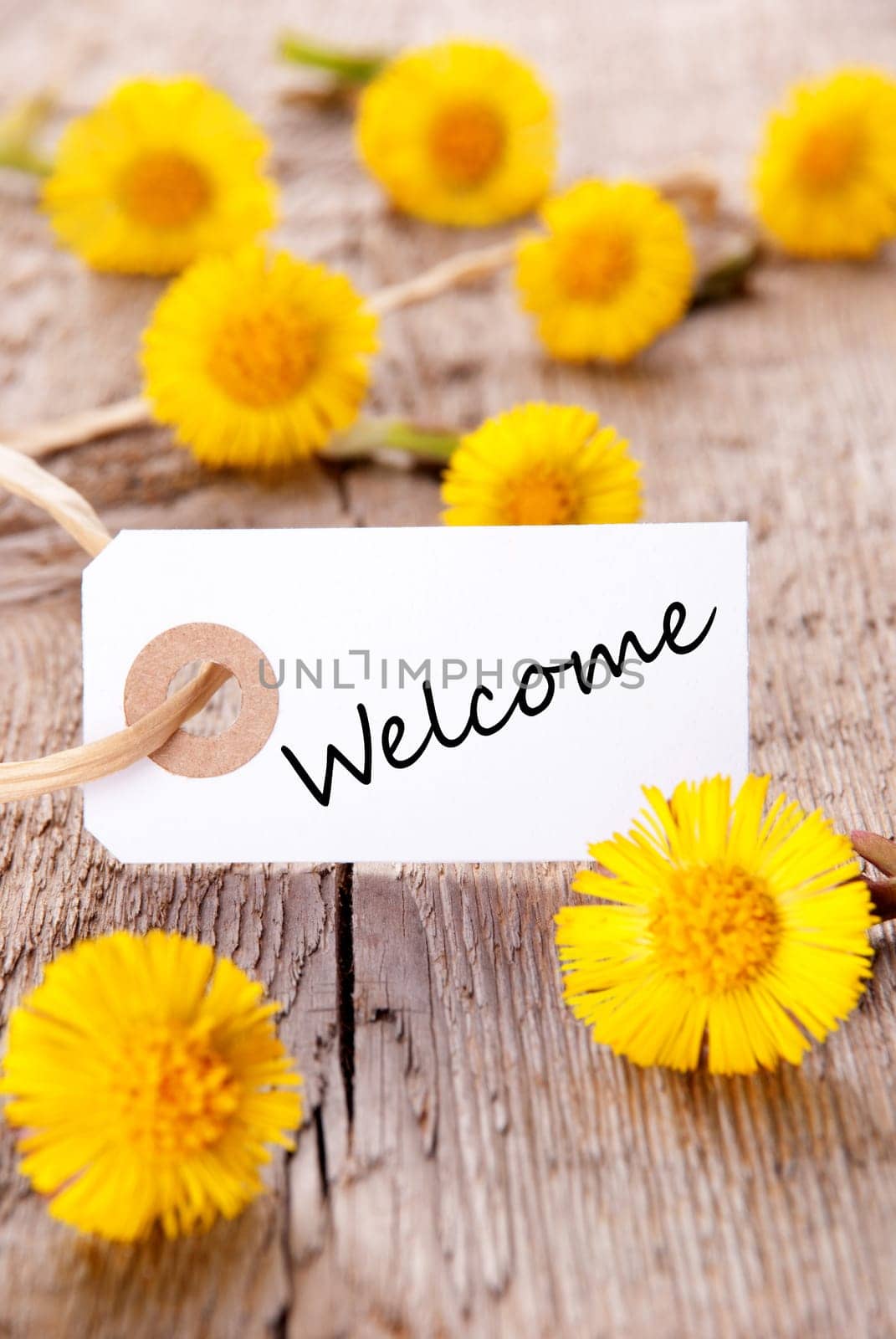 Tag with Welcome and yellow Flowers on Wood
