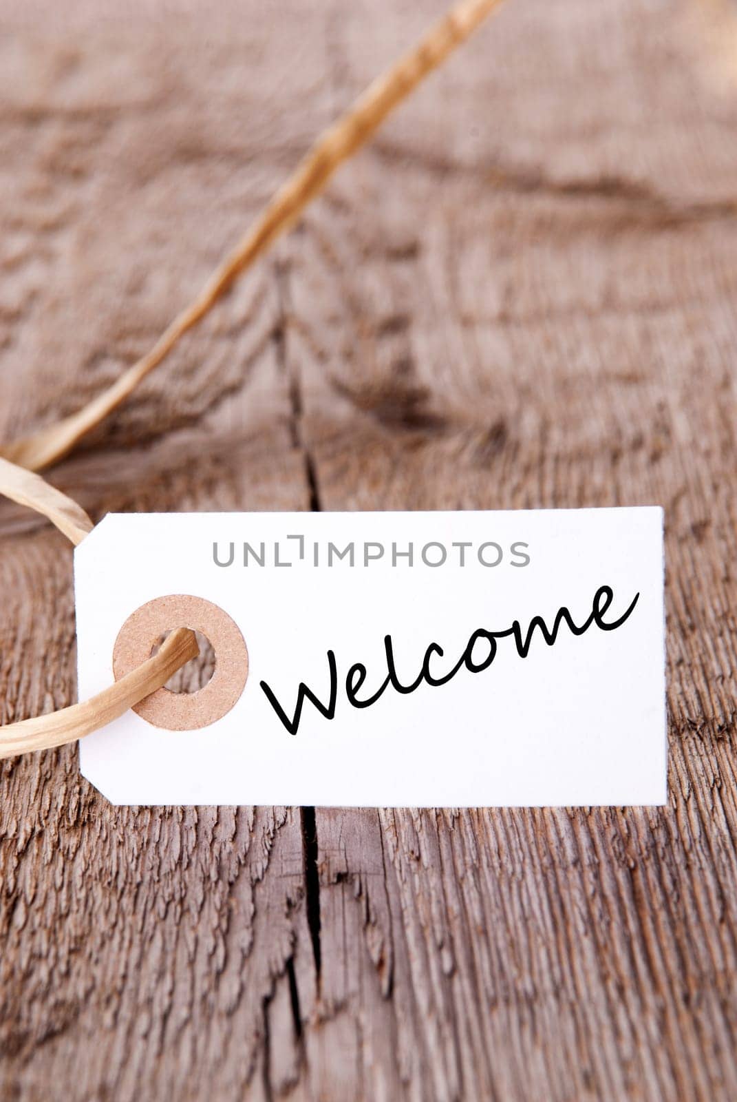 Natural Background with white Label on Wooden Plank with the Word Welcome on it, with Copy Space
