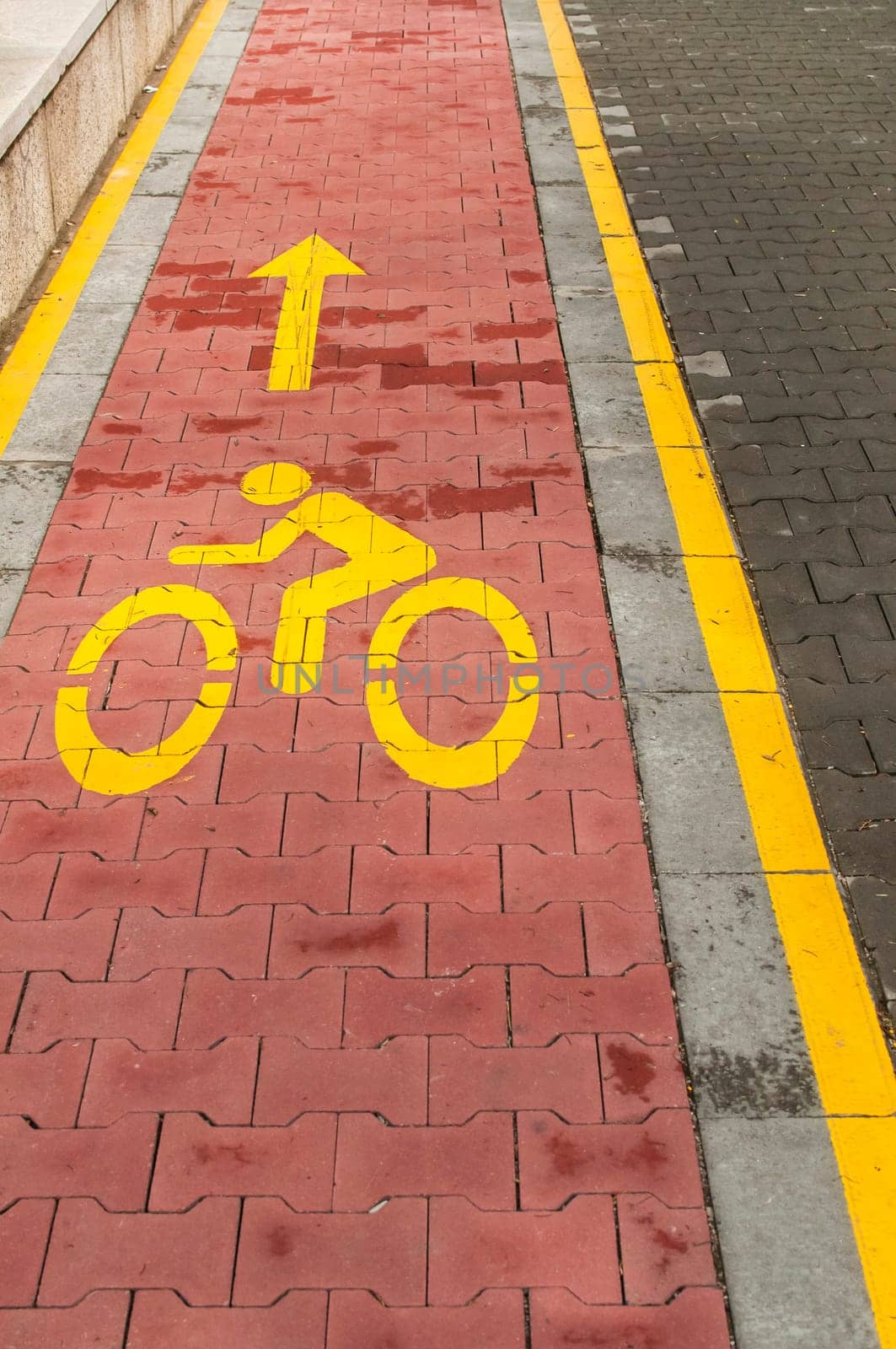 Marked bicycle path as part of city pedestrian zone