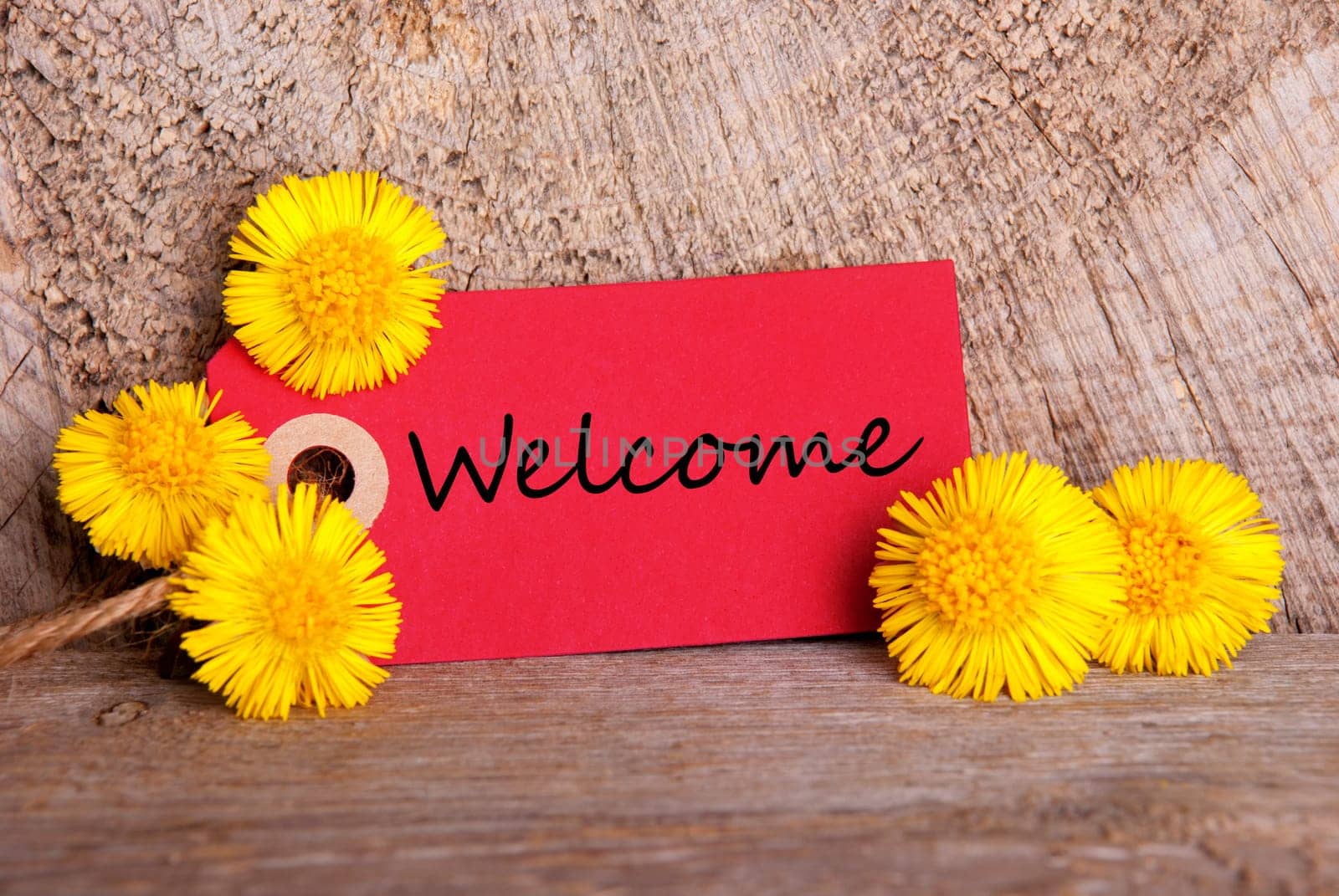 Red Banner with the Word Welcome with yellow Flowers and Wooden Background