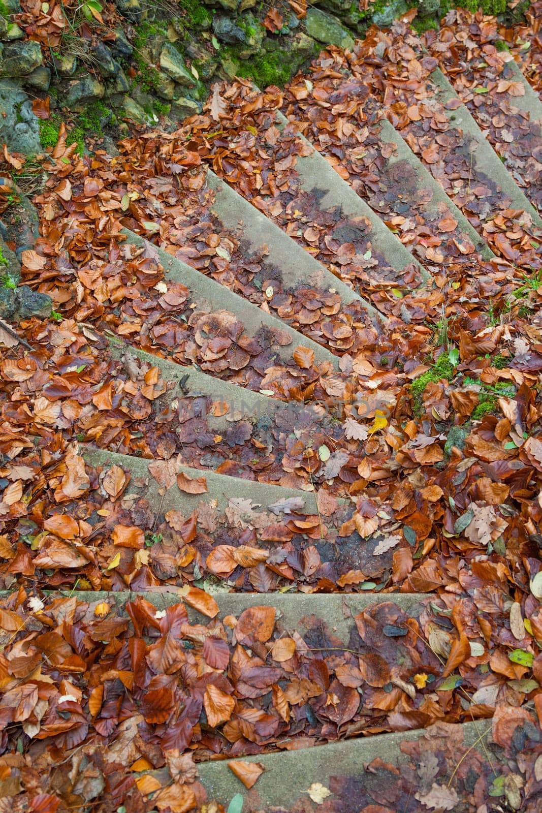 Wet autumn foliage on a staircase in the park