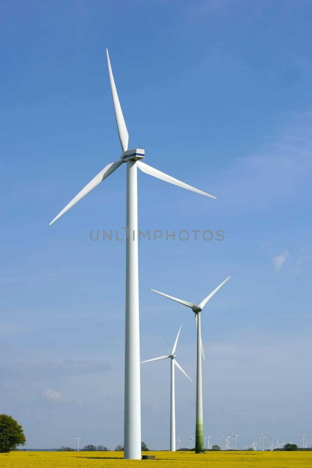 The photograph of wind turbines on a flowering rapefield.