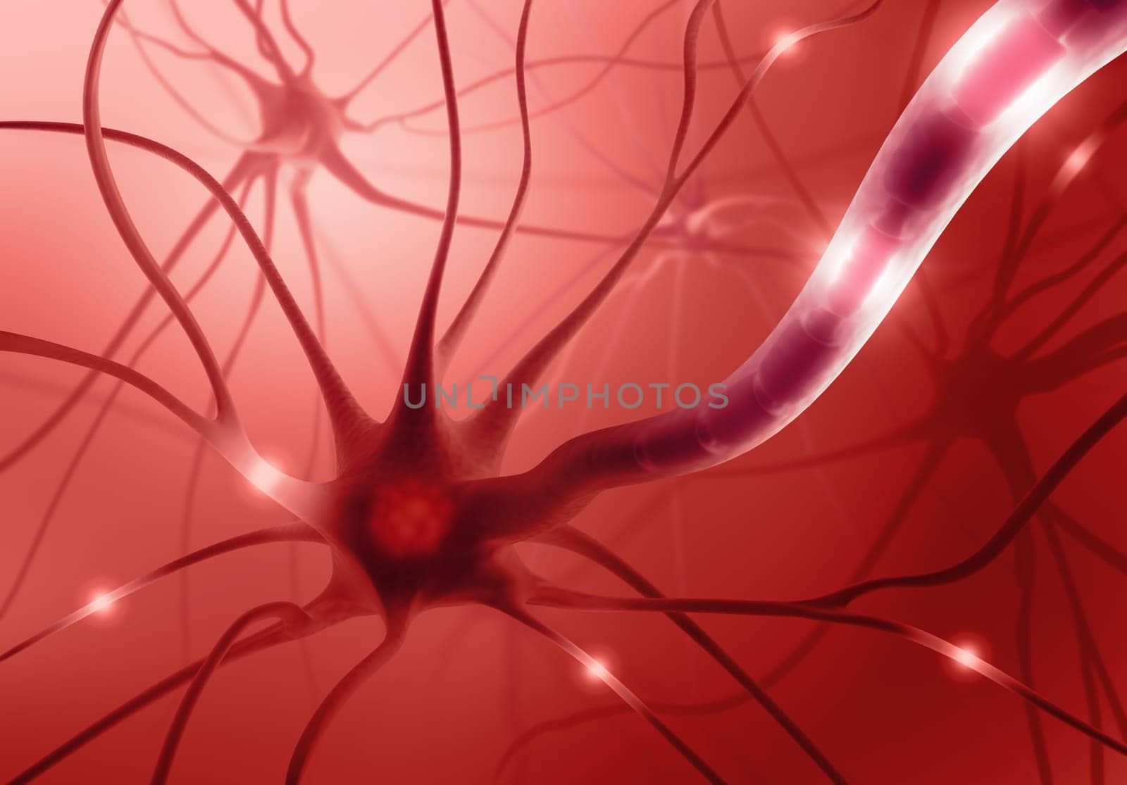 Interconnected neurons transferring information with electrical pulses.