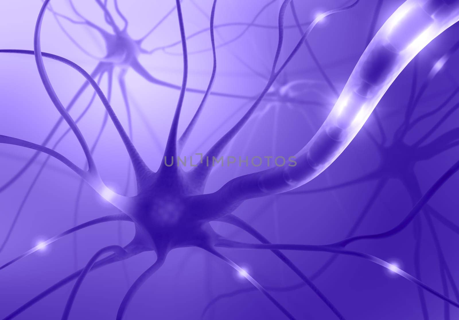 Interconnected neurons transferring information with electrical pulses.
