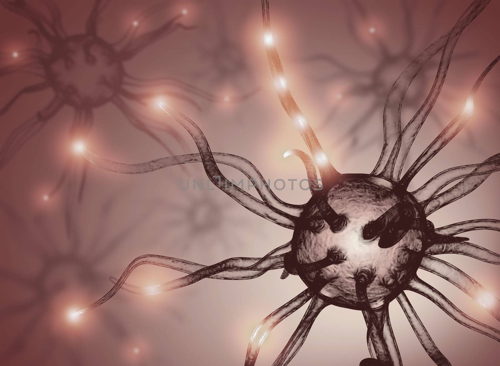 Interconnected neurons transferring information with electrical pulses.