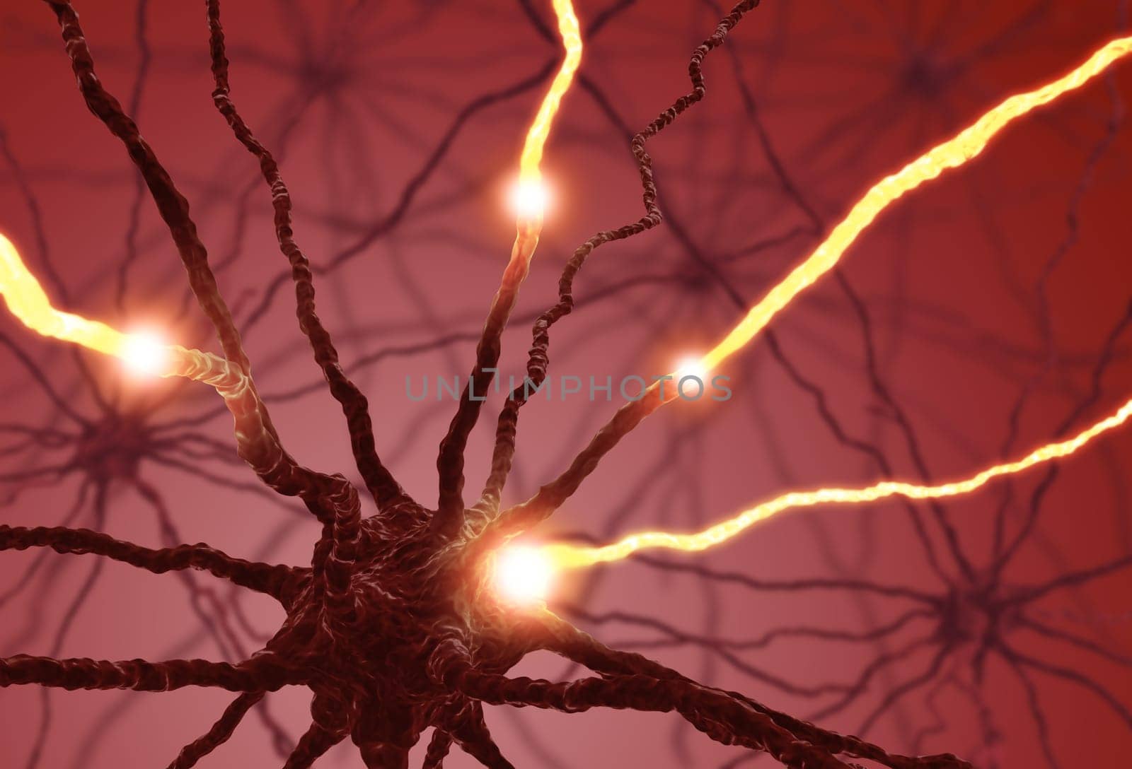 Interconnected neurons transferring information with electrical pulses.