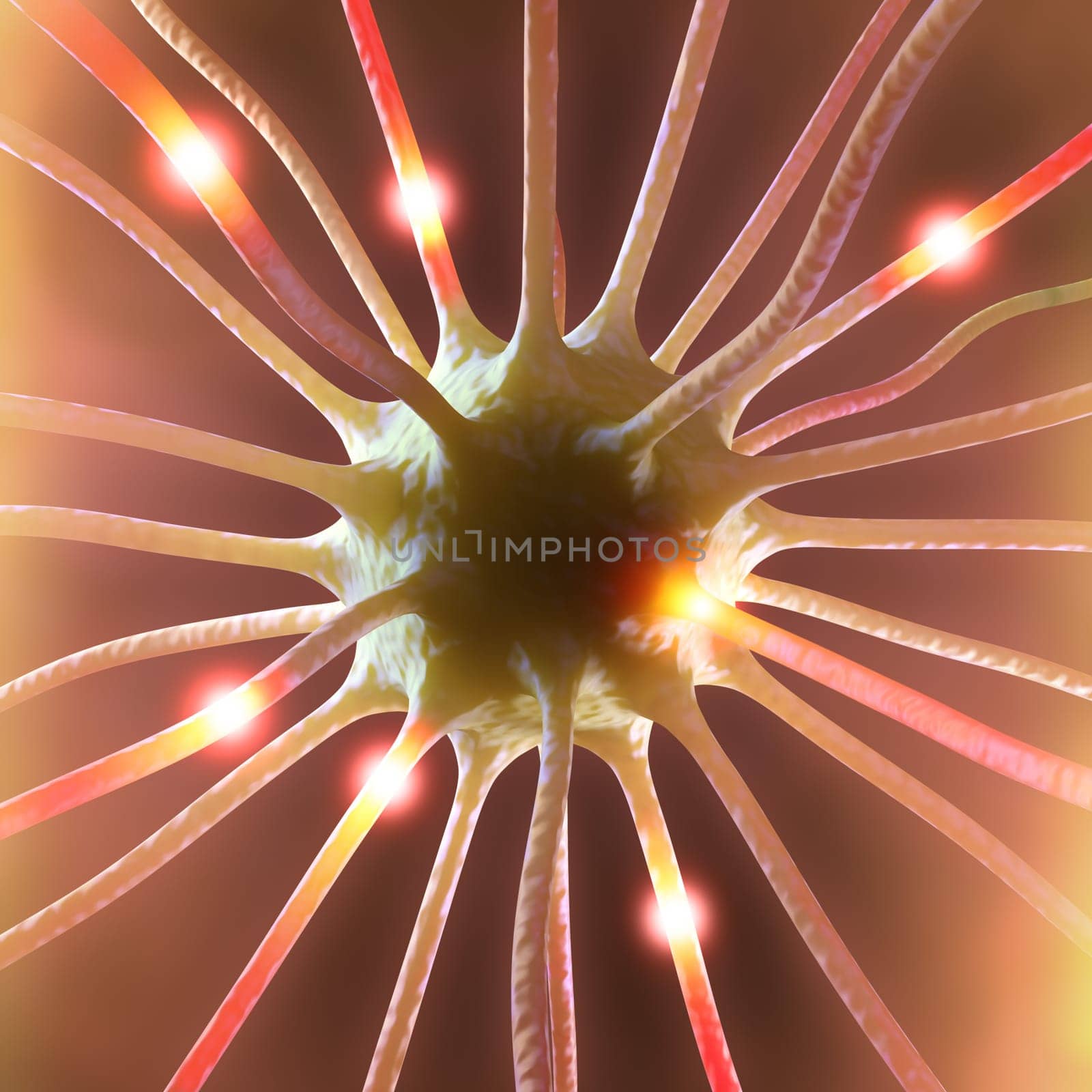 Interconnected neurons transferring information with electrical pulses.