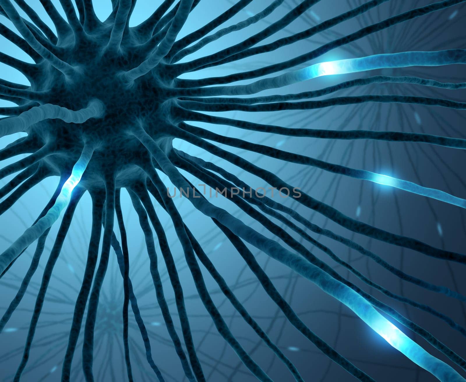 Interconnected neurons transferring information with electrical pulses.