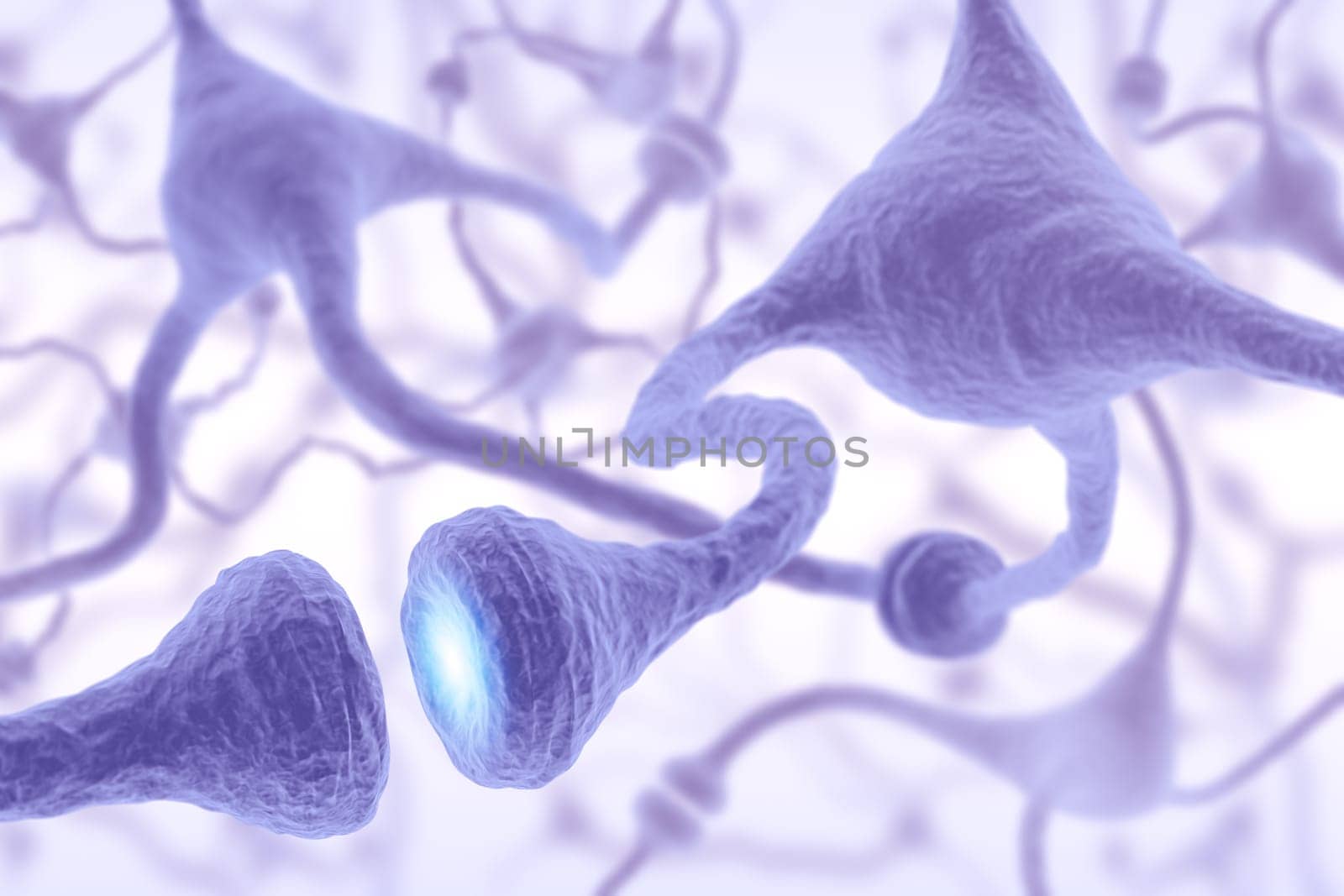 Interconnected neurons transferring information with electrical pulses.