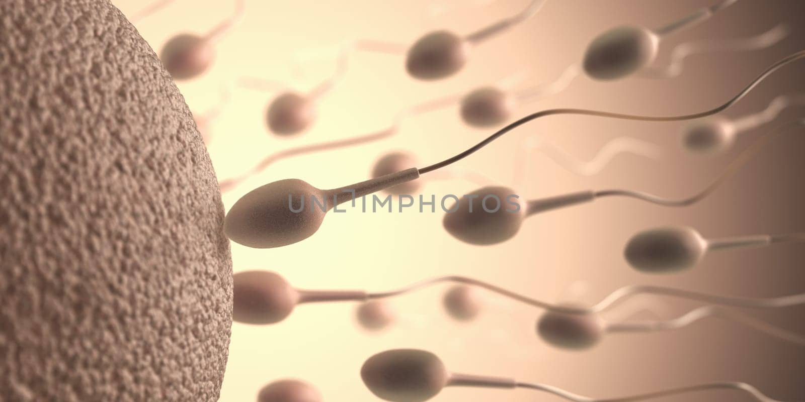 A lot of sperms going to the ovule. Image concept of fecundation.