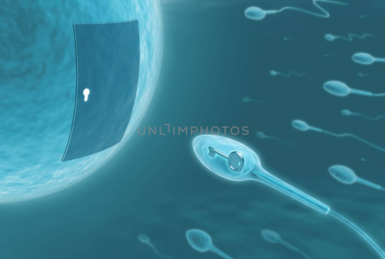 Only one sperm will get in. Image concept of fecundation.