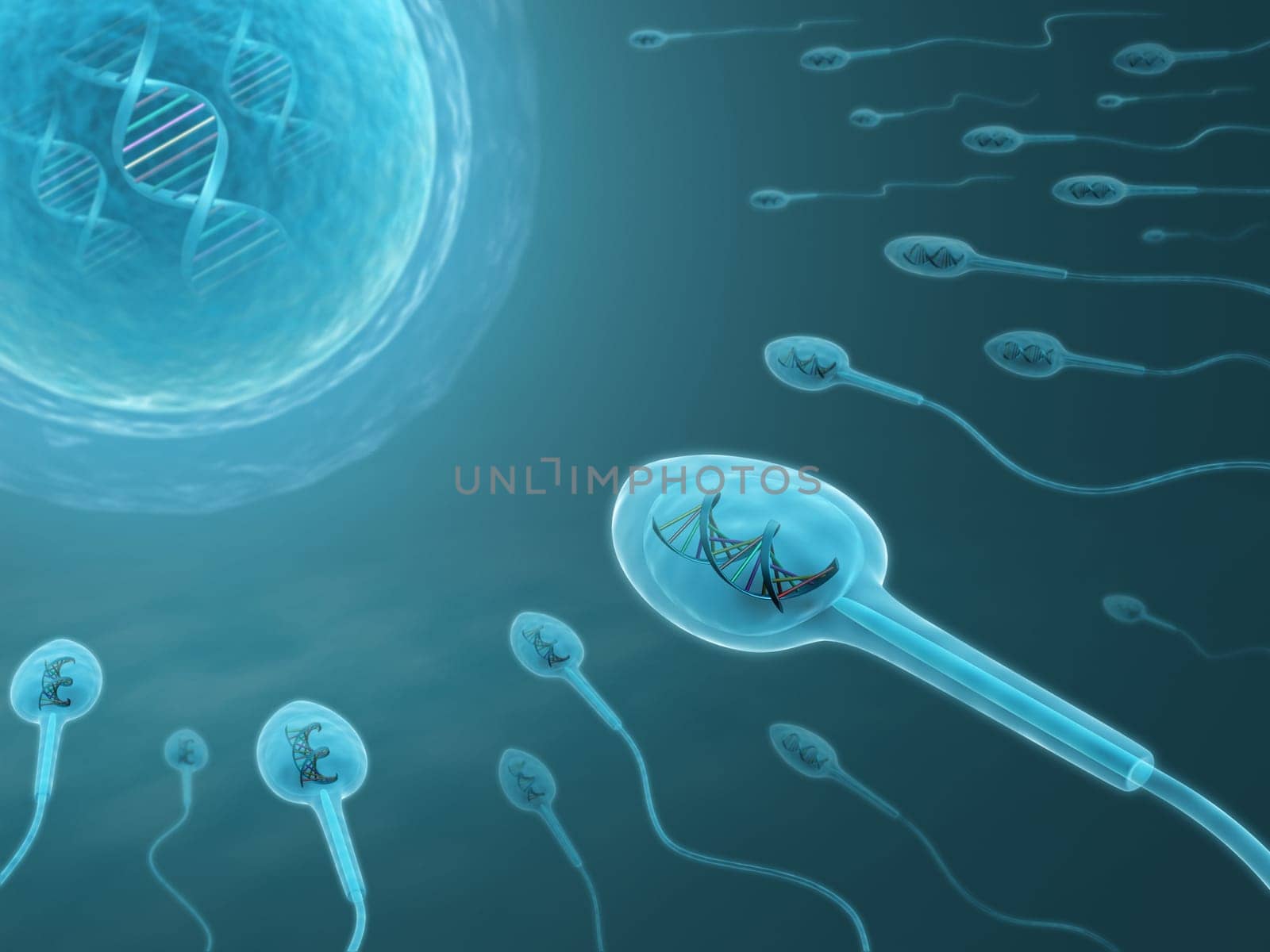 A lot of sperms going to the ovule. Image concept of fecundation.