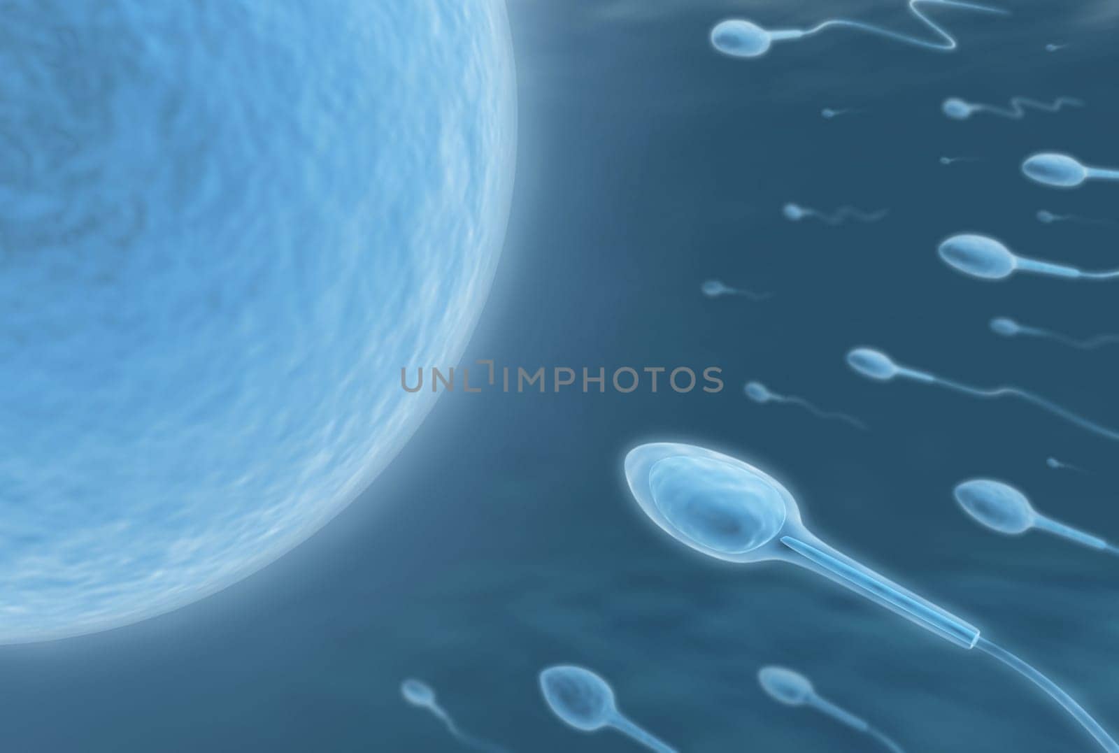 A lot of sperms going to the ovule. Image concept of fecundation.