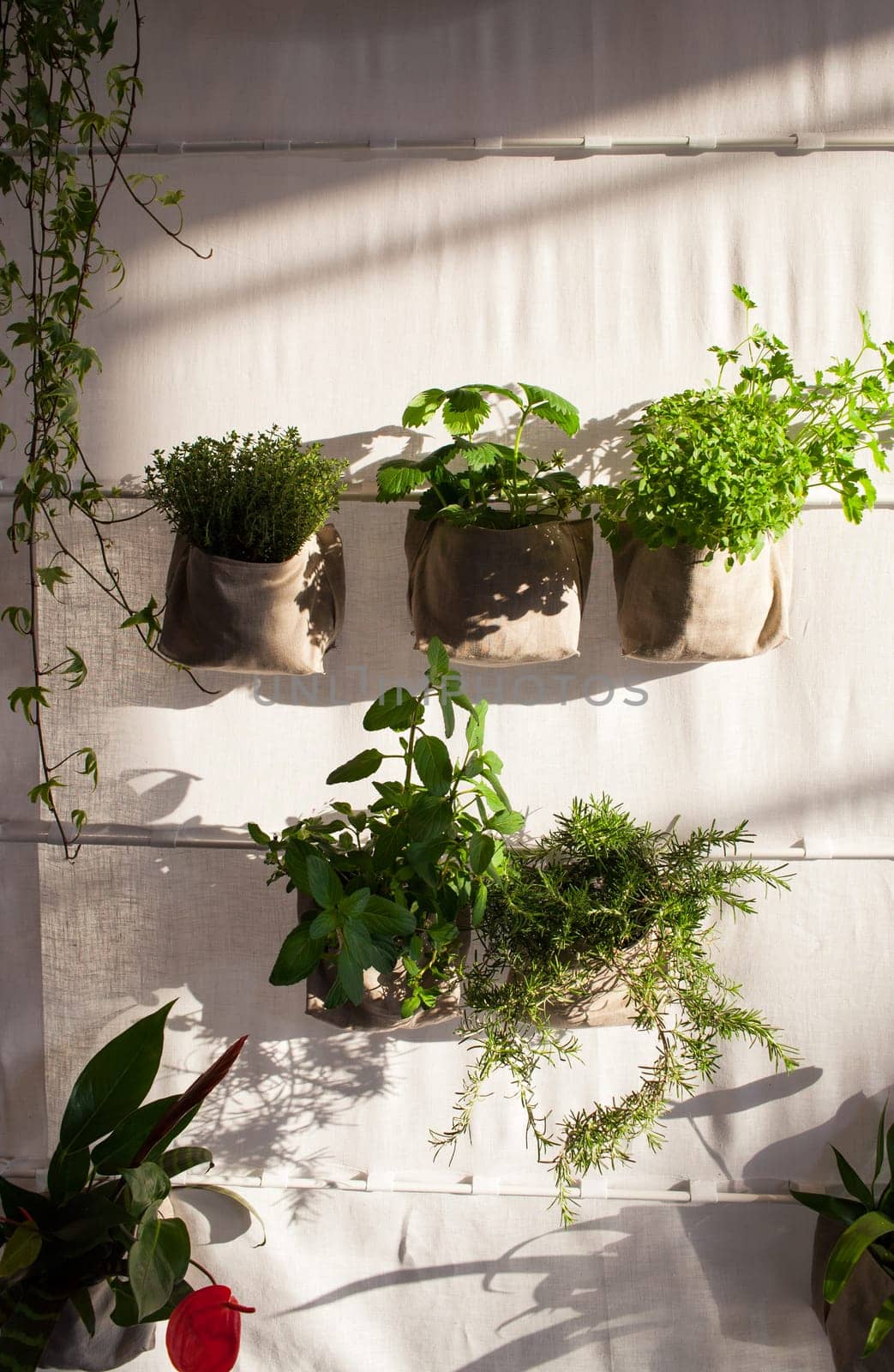 Voew of flower and plant pots on fabric wall