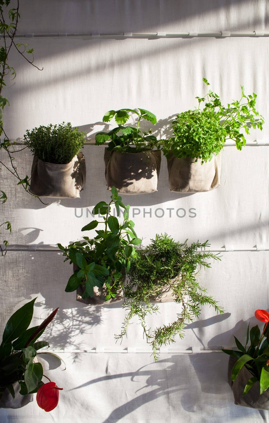 Voew of flower and plant pots on fabric wall