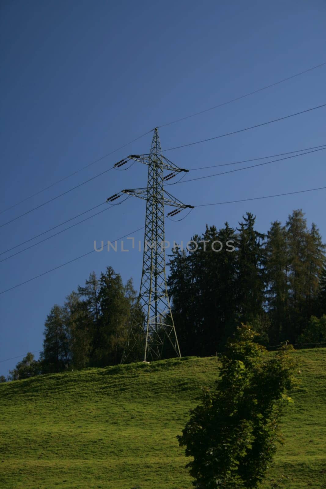 Electricity poles with cables on a hill in Tyrol