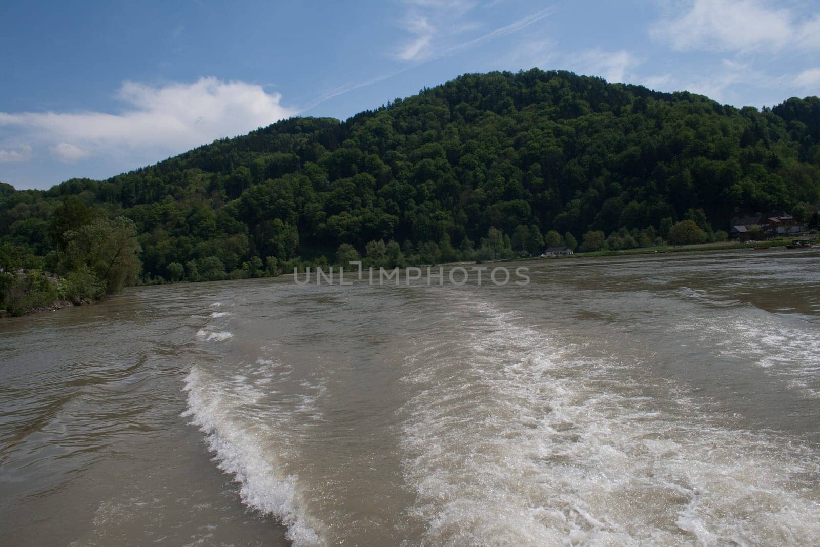 Forest,in the foreground the danube river