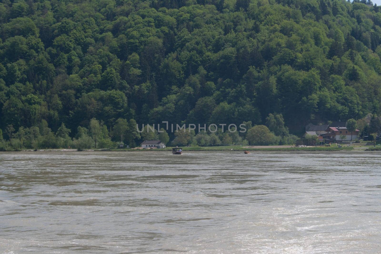 Forest,in the foreground the danube river