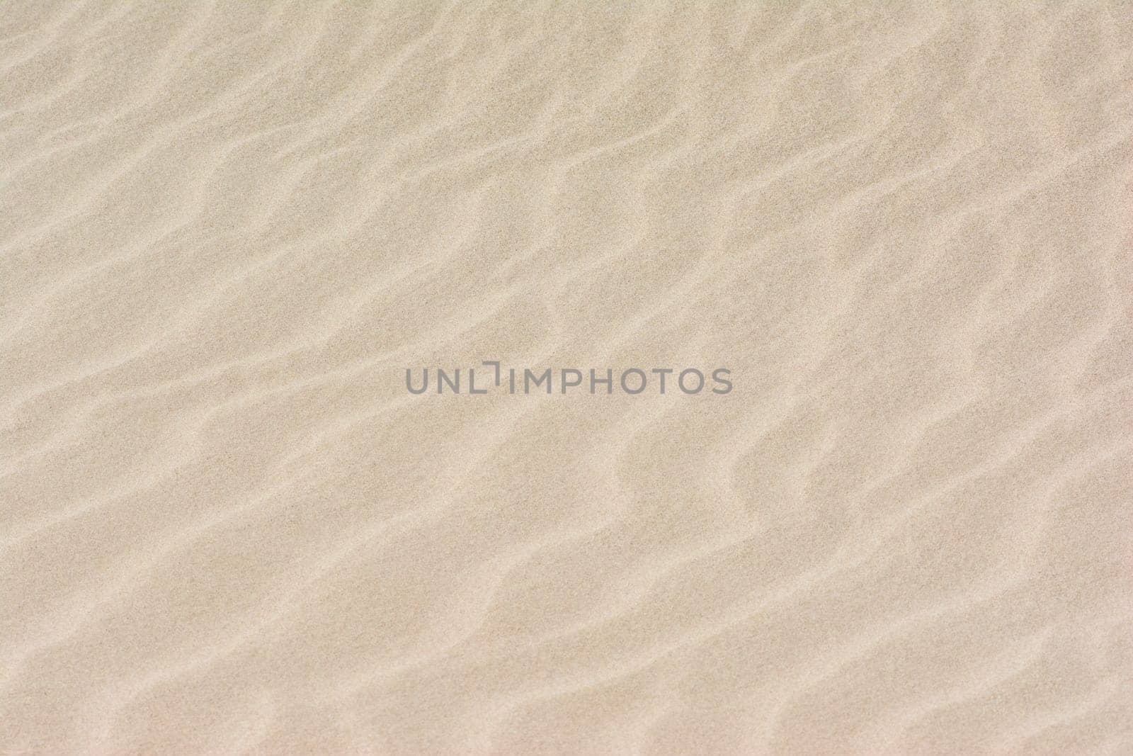 Image-filling sand surface as background.