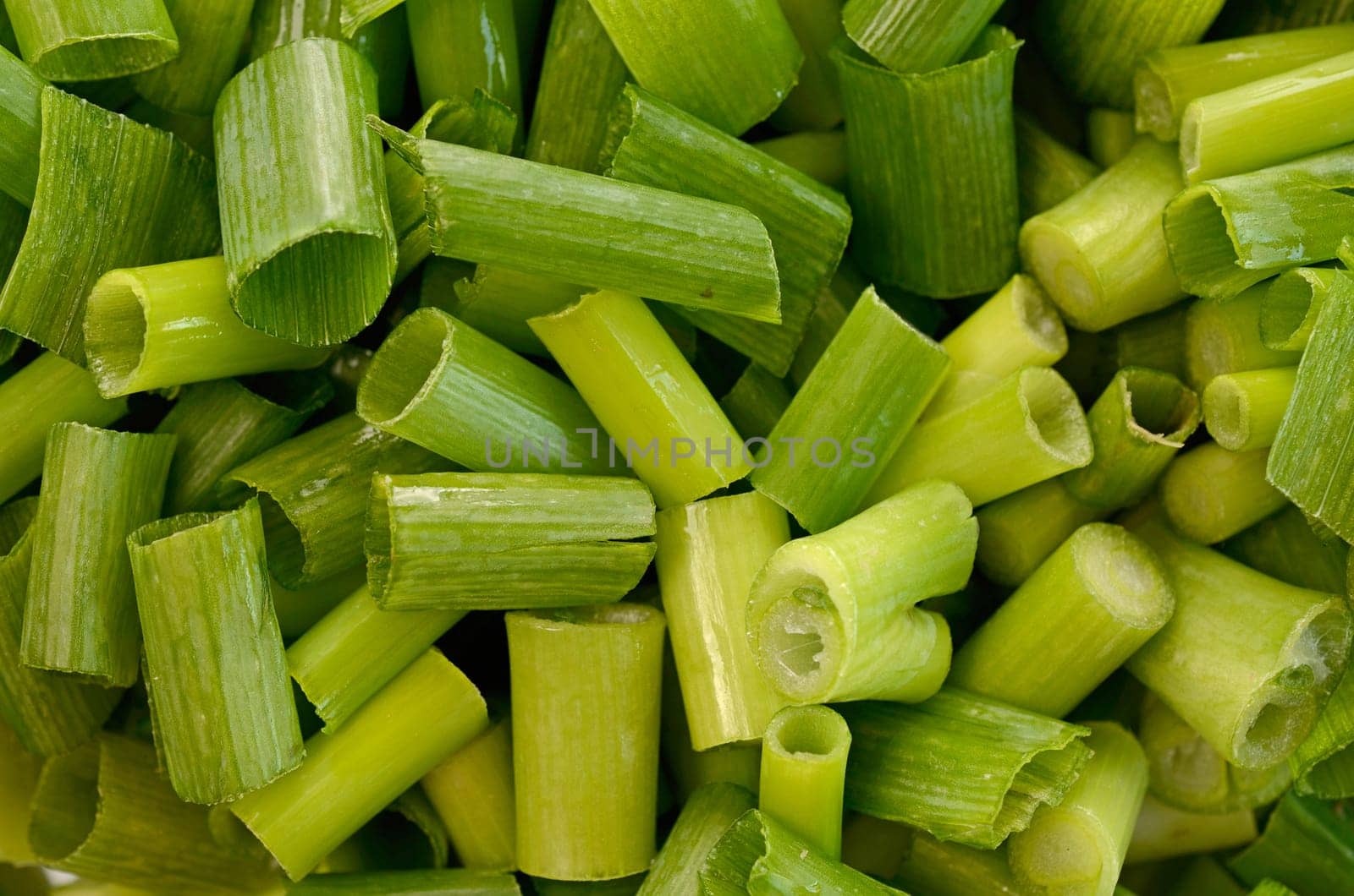 Spring onion background