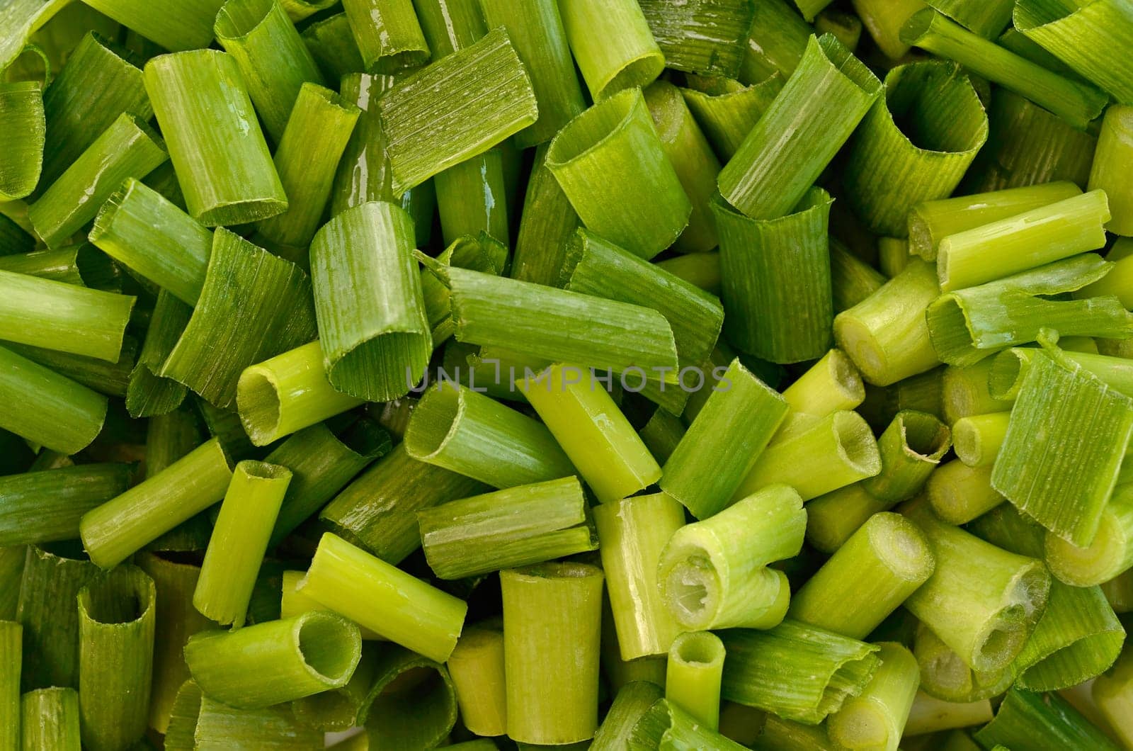 Spring onion background