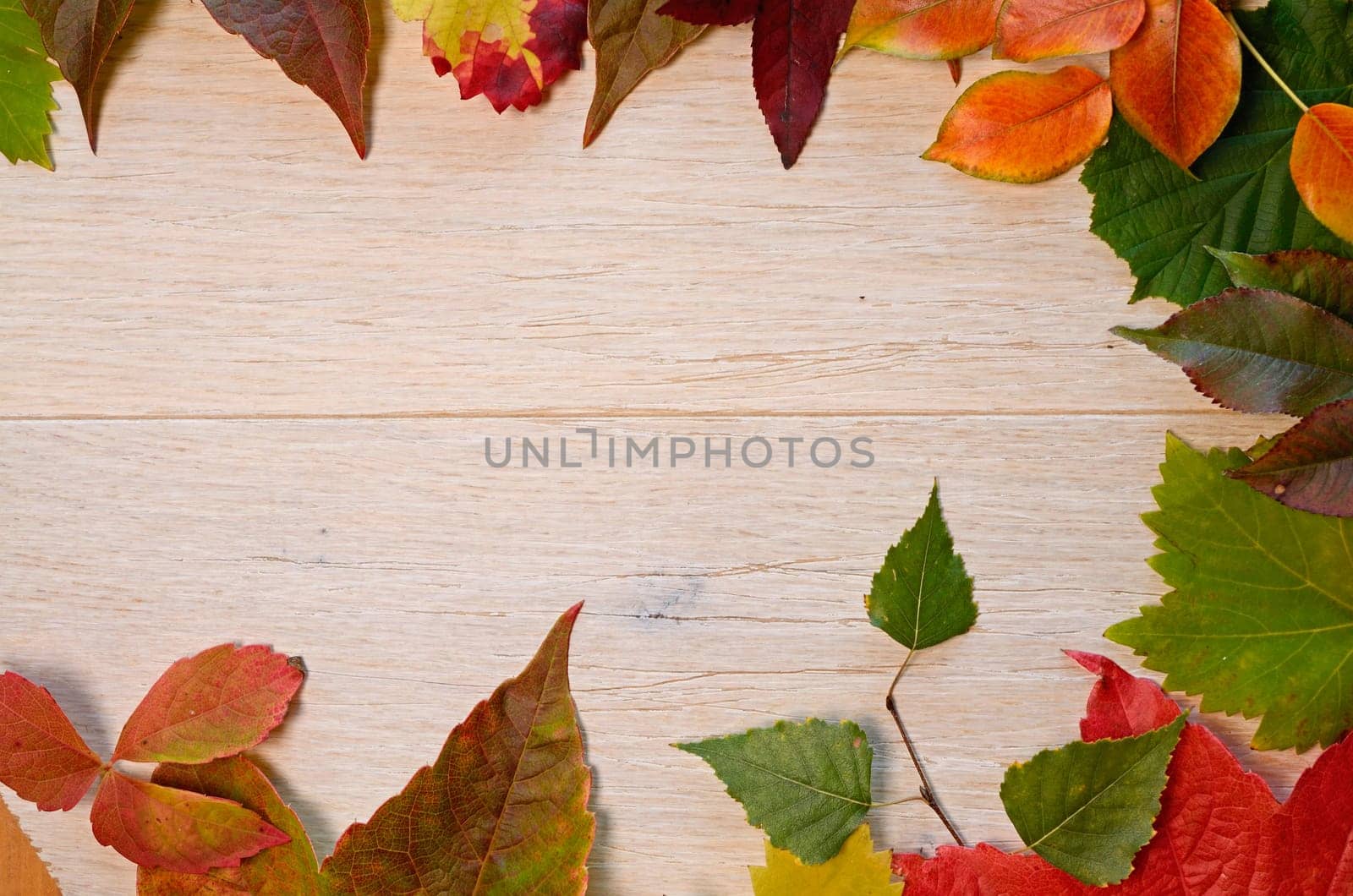 Autumn leaves background