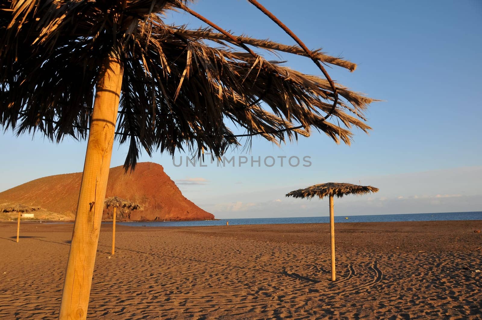 Beach Umbrella in Tenerife Canary Islands Spain Europe