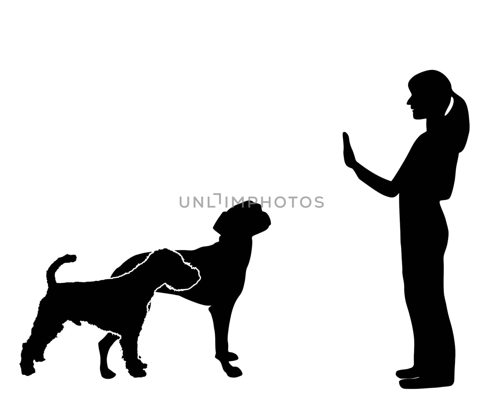 Dog education