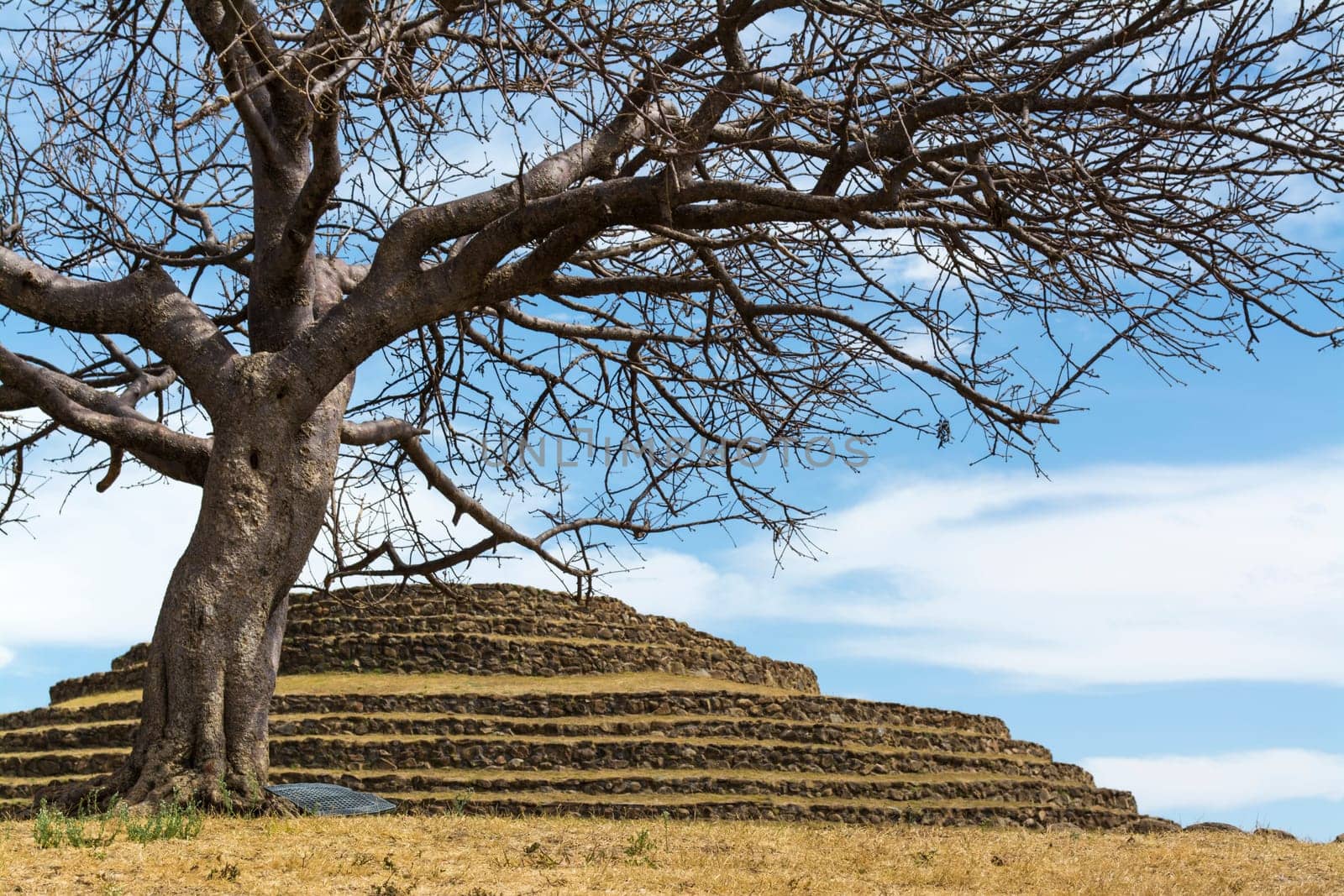 Ceremonial center and ancient pre-Hispanic establishment located in the city and municipality of Teuchitlán