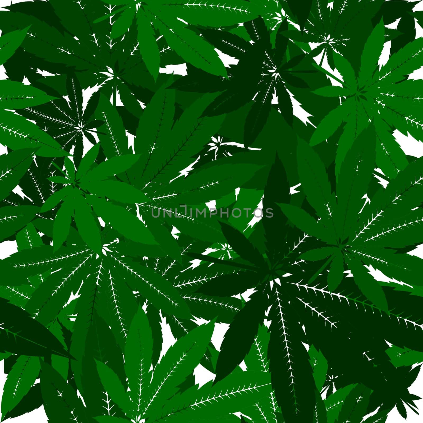 Marijuana leaves  seamless pattern design