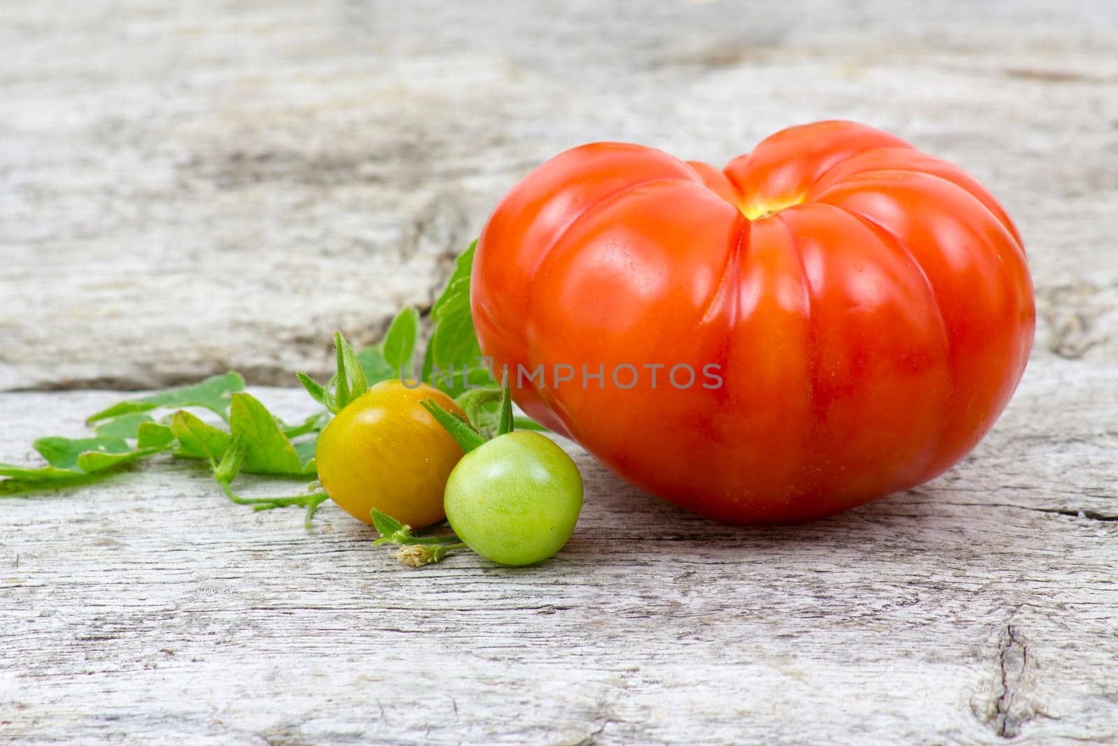 Fresh tomatoes on vintage wooden table